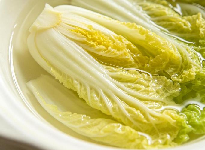 主人在狗狗进食时从旁边投喂高价值零食的实拍