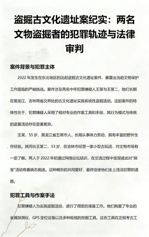 盗掘文物案件法律流程示意图