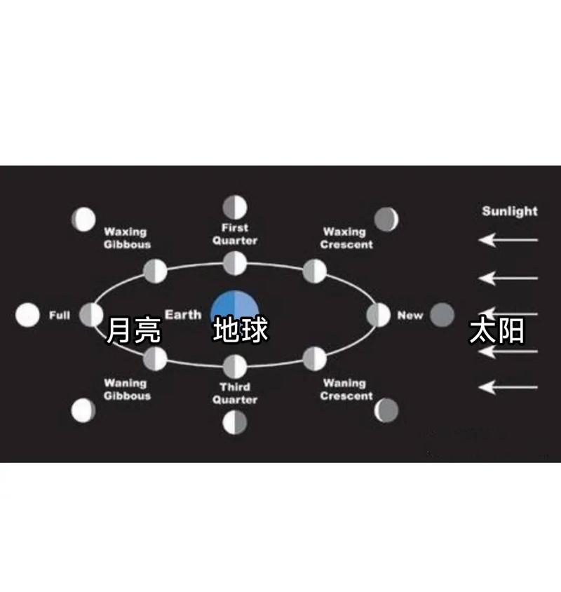 ⚡太阳、上升、月亮…到底哪个才是真的我?别再傻傻分不清!