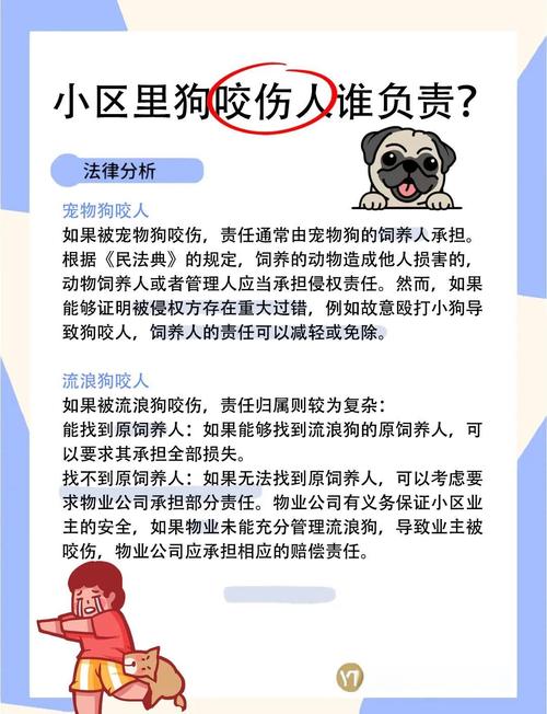 宠物伤人责任的法律定位