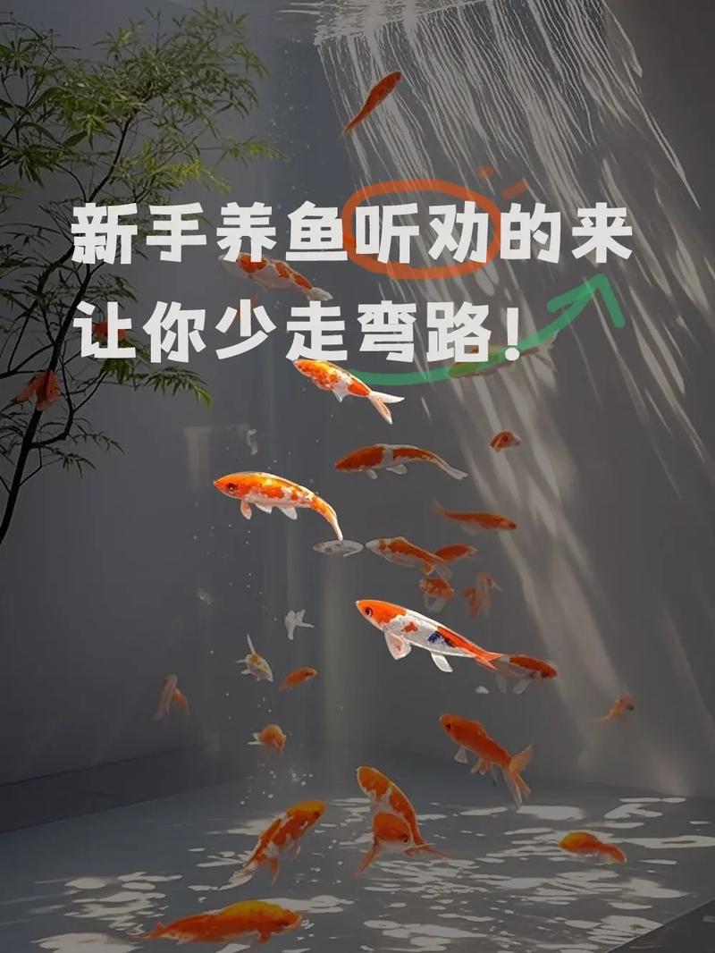 这些“坑”我替你淌过了,听着