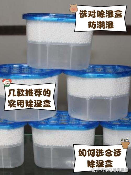 不同除湿物品,摆法完全不一样,别瞎堆