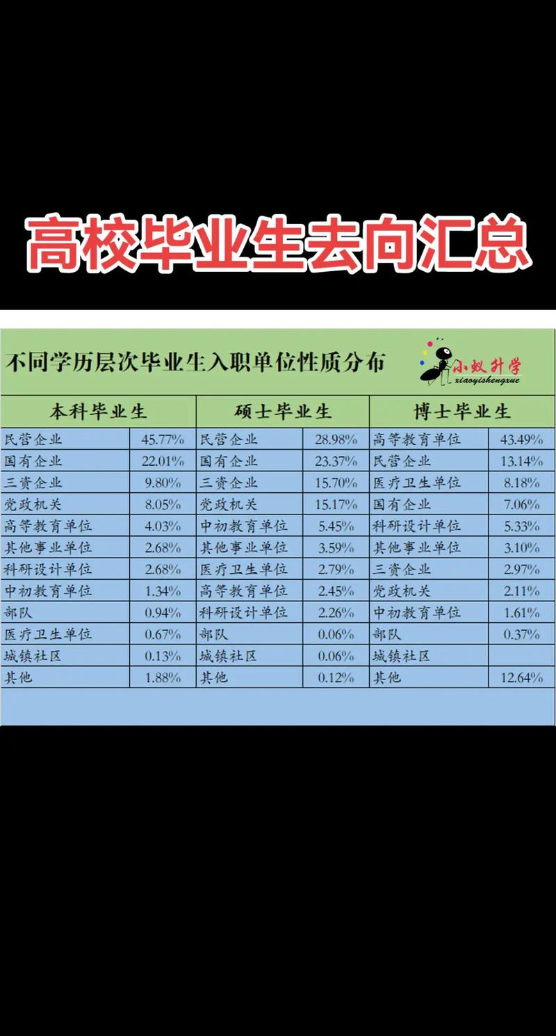 2024应届生教改新增求职路径汇总表