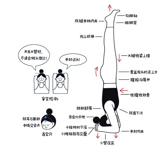 瑜伽练习中头倒立和乌鸦式等高难度体式的正确发力示意图