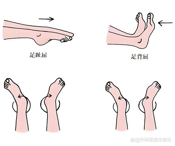 高铁车厢内座位上做踝泵运动动作图