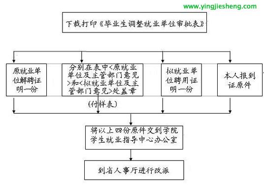 毕业生报到证丢失补办流程示意图