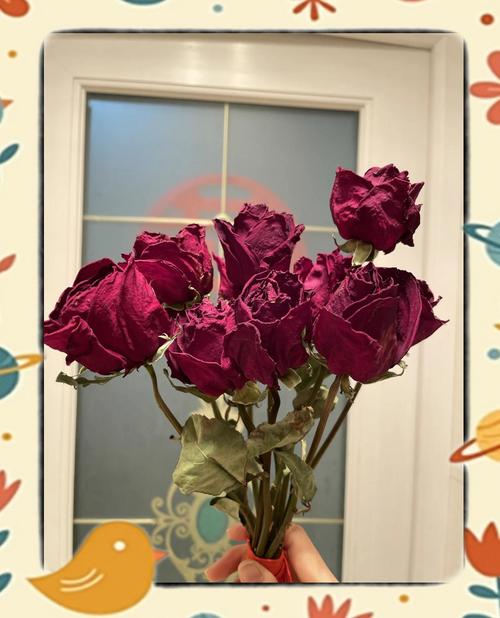 倒挂风干的玫瑰花束