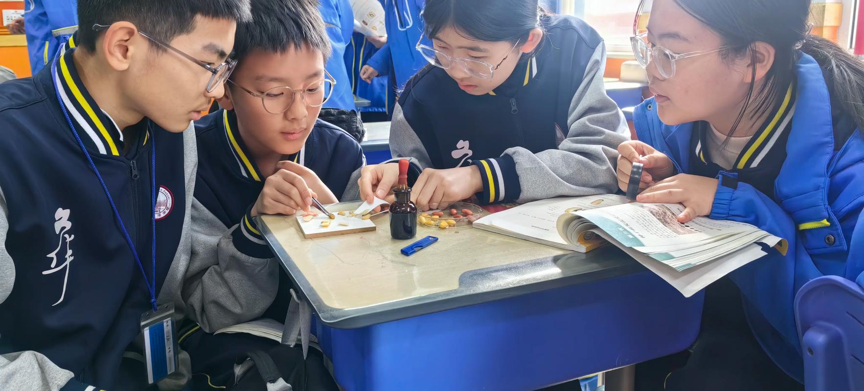 小学生在小组合作中动手解决科学实验问题