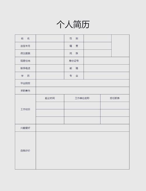 大学生个人就业信息整理文件夹模板
