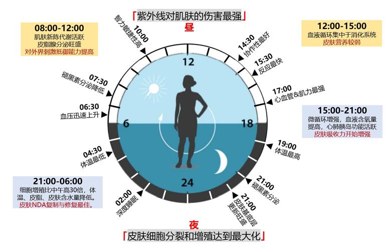日常昼夜节律养护常见错误对比图