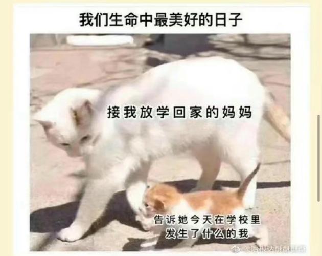 上周接娃时撞见的一件小事
