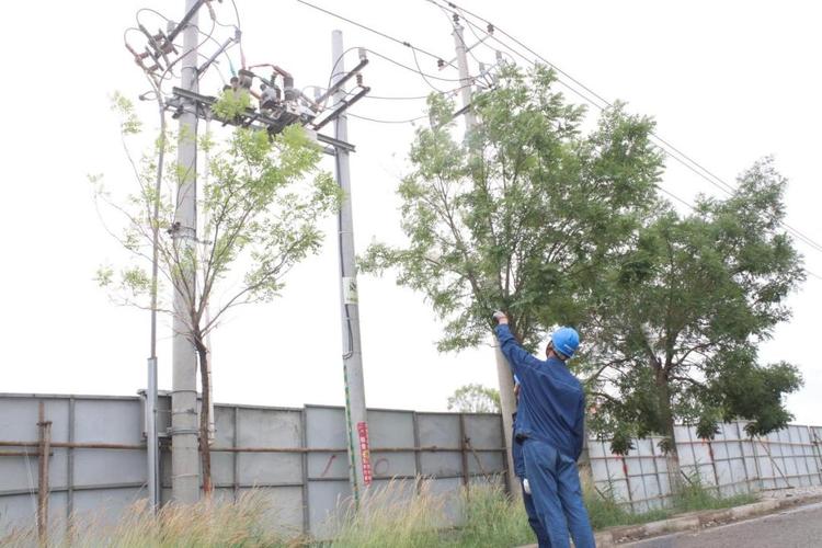南京乡村10kV配电杆塔日常运维现场