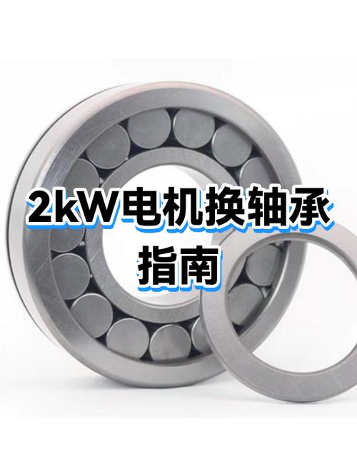 别再上来就换轴承!诊断的黄金顺序
