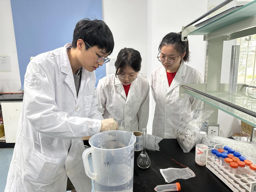 科研人员误把刷证书当能力提升的场景图
