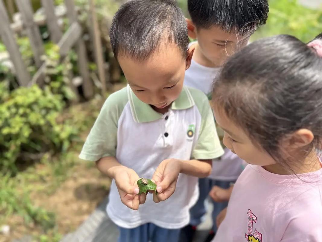森林幼儿园教师带领幼儿观察树叶上的蜗牛