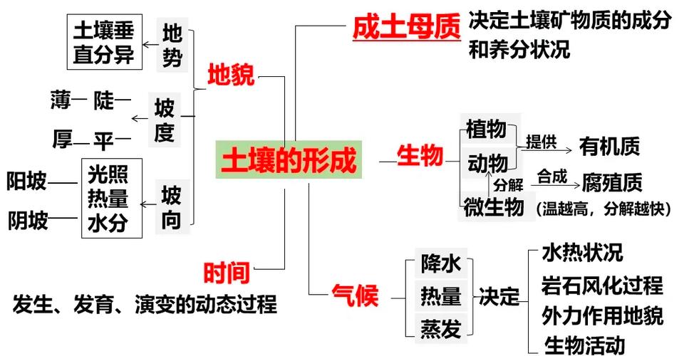 土壤、光照与工业思维的降维打击