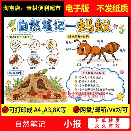 小学生蹲在小区草坪观察昆虫做自然笔记