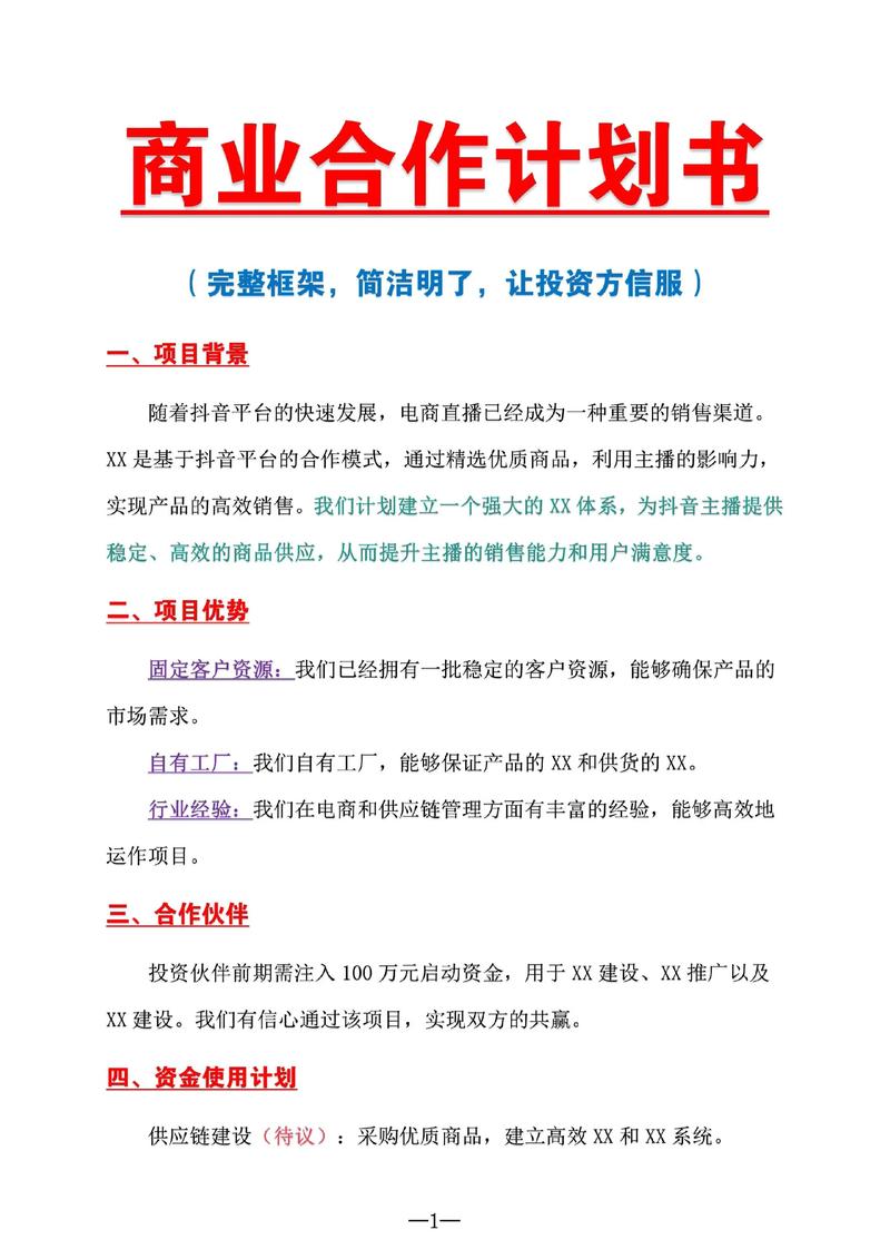 创业者向投资人演示商业计划书核心页面