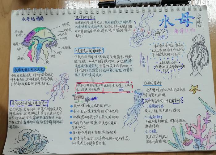 亲子观察城市淡水池塘生物手账