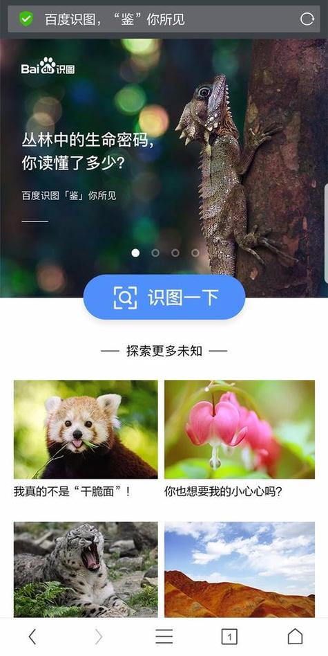 百度搜索特征片段展示示例图