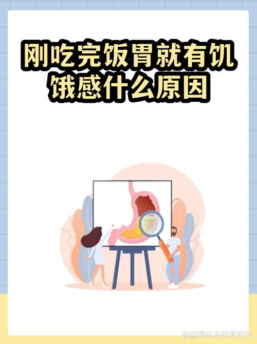 跟着饿感走，比定点吃饭更舒服