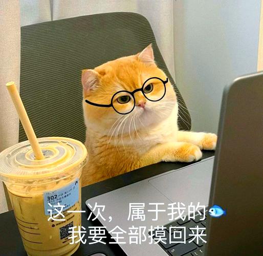 治愈系摸鱼党必备