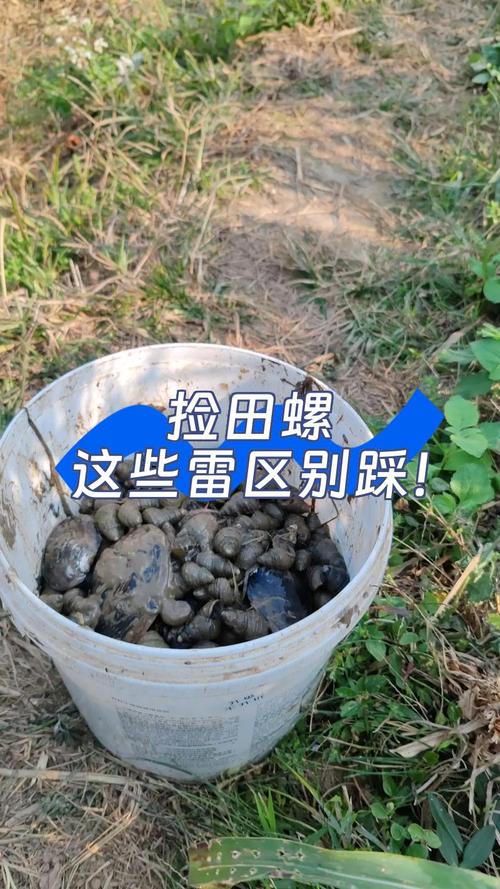 这些活动雷区别踩,白忙活还容易伤着