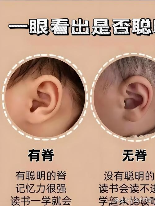 你有没有抢走孩子的自然耳朵