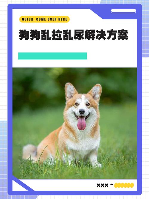 乱拉之后，别错怪了你家狗