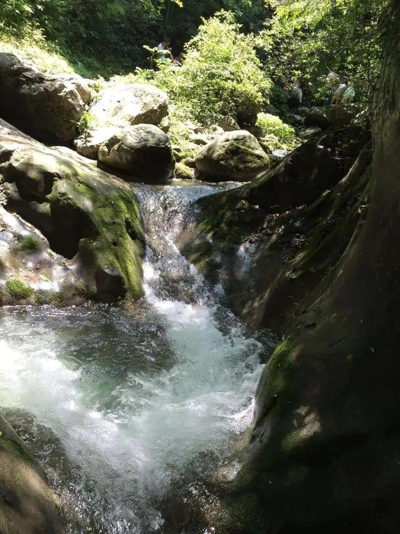 南漳鱼泉河大峡谷夏日林荫溪流
