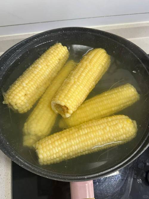 临走时塞来的煮玉米