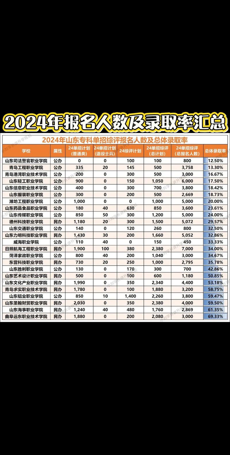 2024年国内不同升学通道录取要求对比表
