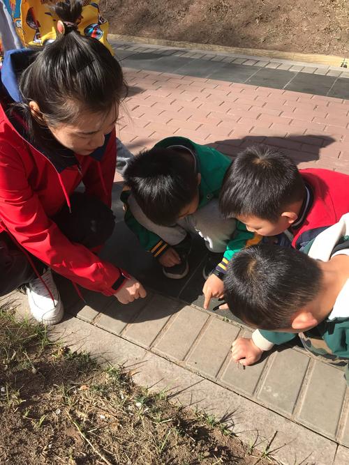 三岁儿童蹲在小区路边观察蚂蚁实拍