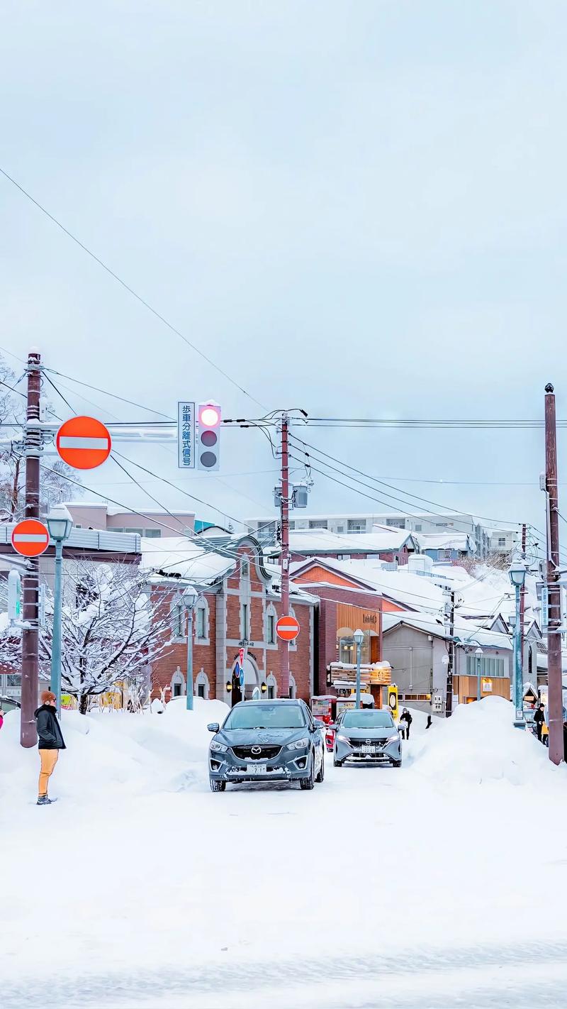 小樽雪中小巷
