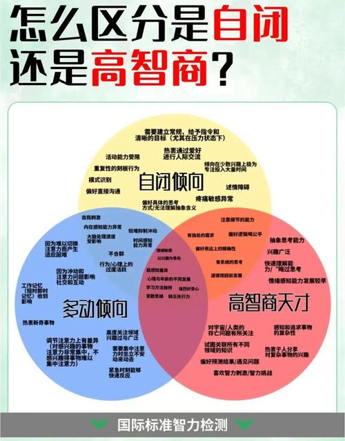 BMS:聪明的大脑还是智商税?