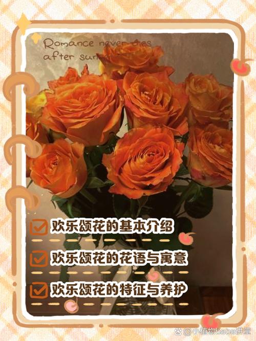 婚庆品牌背后的“人”才是灵魂，别被牌子晃花了眼