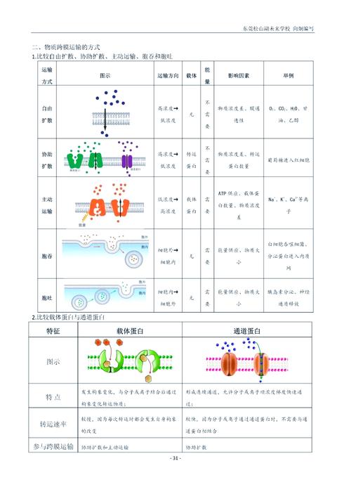 生物课本上的物质跨膜运输三种方式对比图