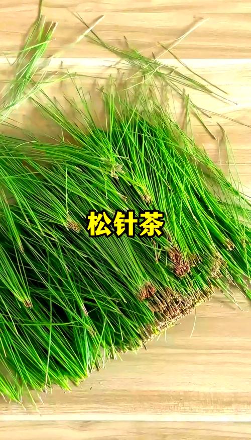 松针:被低估的林间宝藏-因为所以