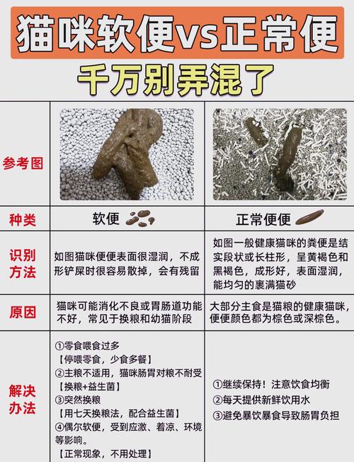 猫犬正常粪便与软便腹泻对比图