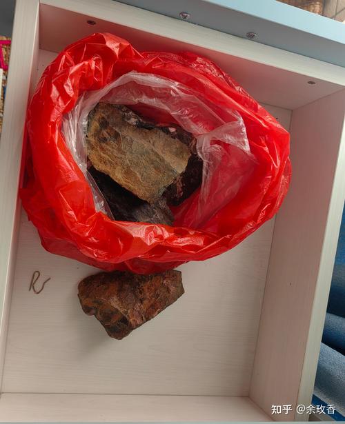 儿童放着收集石头树叶的旧鞋盒实拍