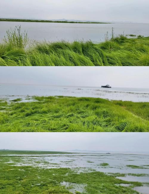 洞庭湖沼泽蔓延草甸阴沉天空广角摄影