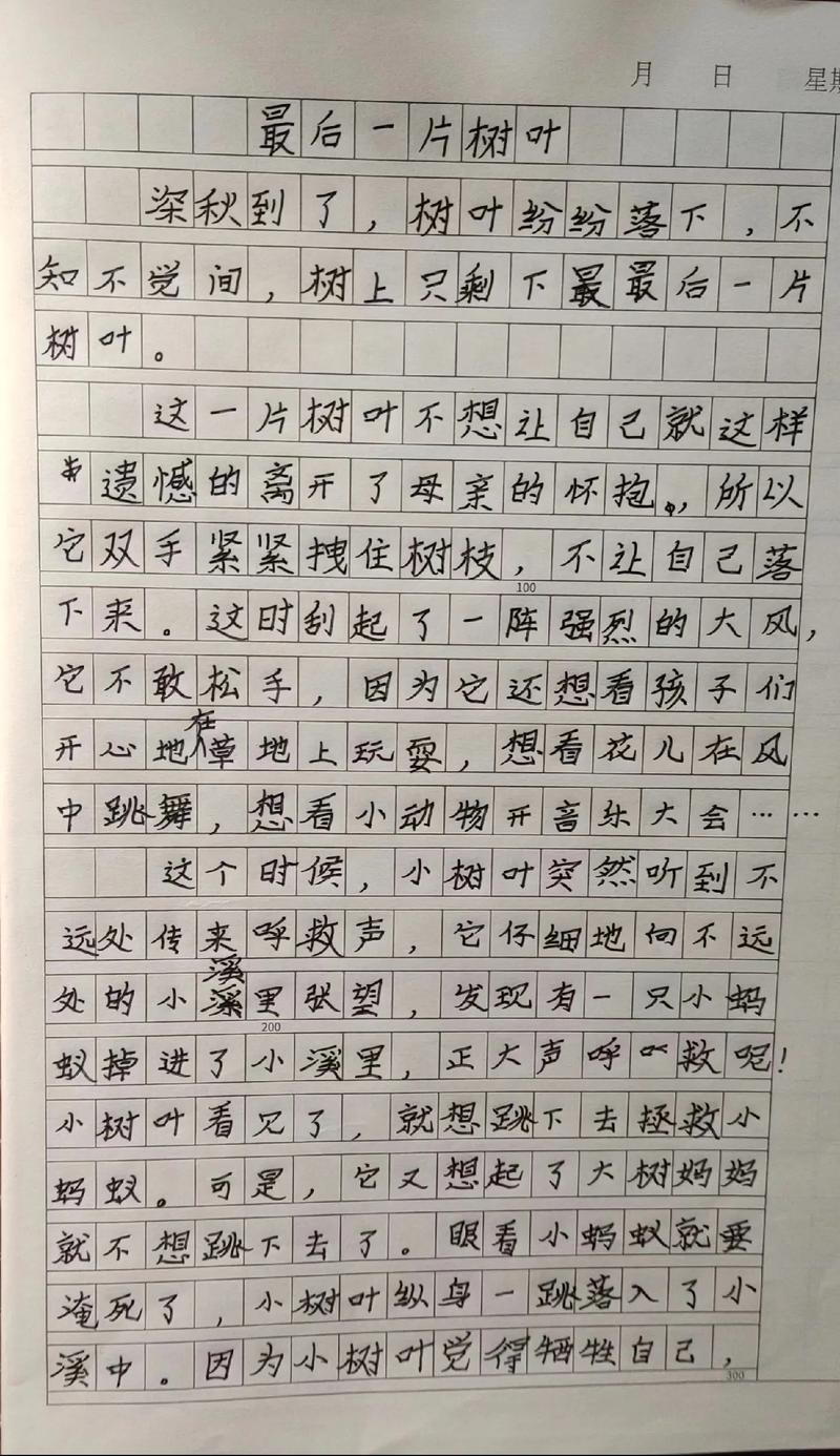 四、写在最后的话