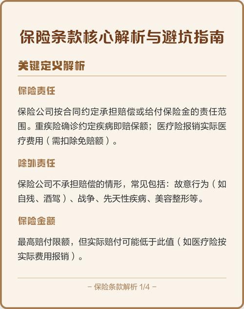 保险合同条款核心争议点标注示意图