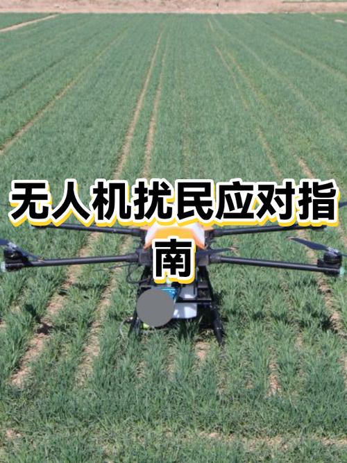 普通人碰到无人机侵权，别慌，按这几步来