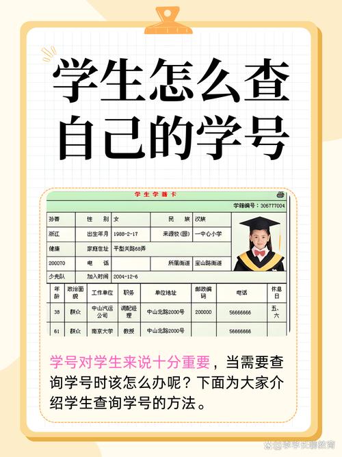 一个学籍号,能堵住多少后门?