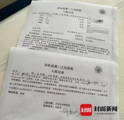 宠物咬伤就医诊断收费单