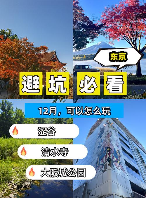 四、排雷清单:这些坑,我替你踩过了