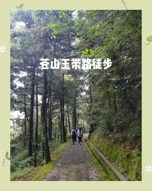 谁在大理苍山雪水洗砧板