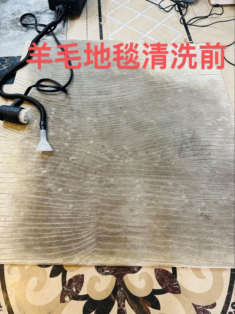 橡胶手套清理地毯毛发灰尘效果对比图