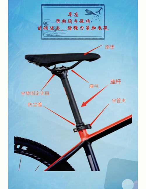 自行车座垫选择对比图